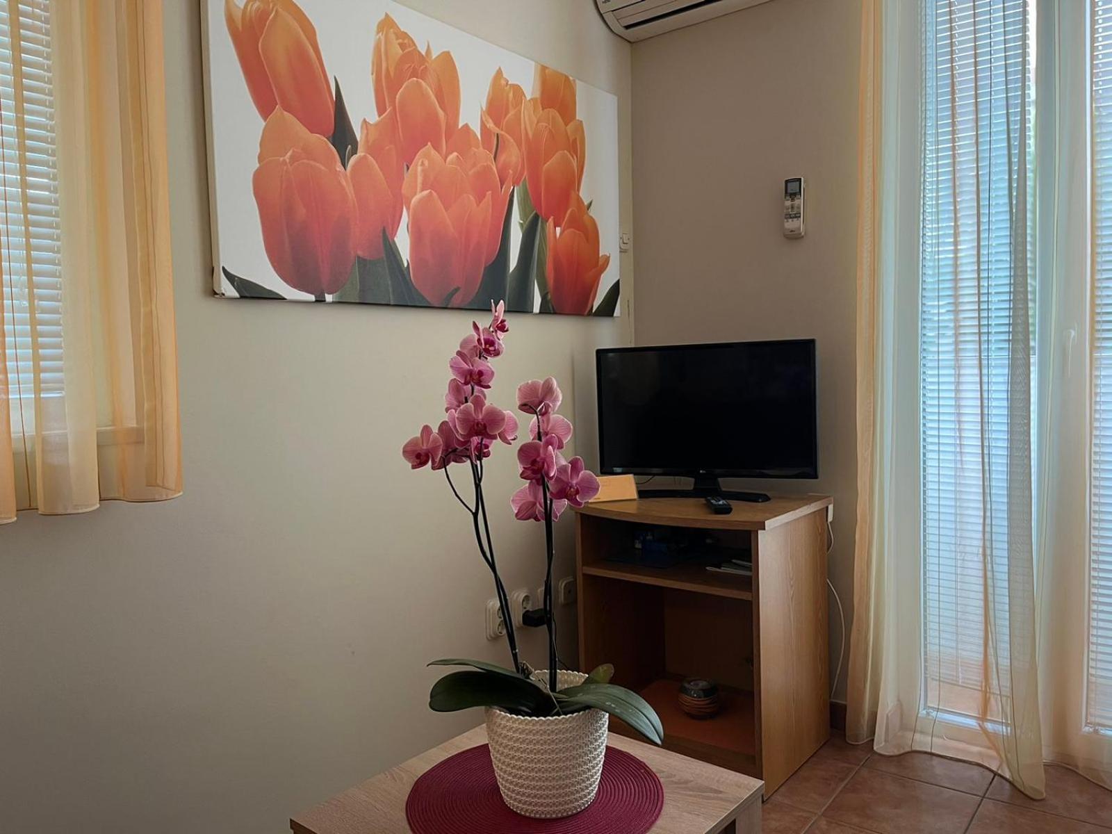 Family Apartments Suzi Ровинь Экстерьер фото